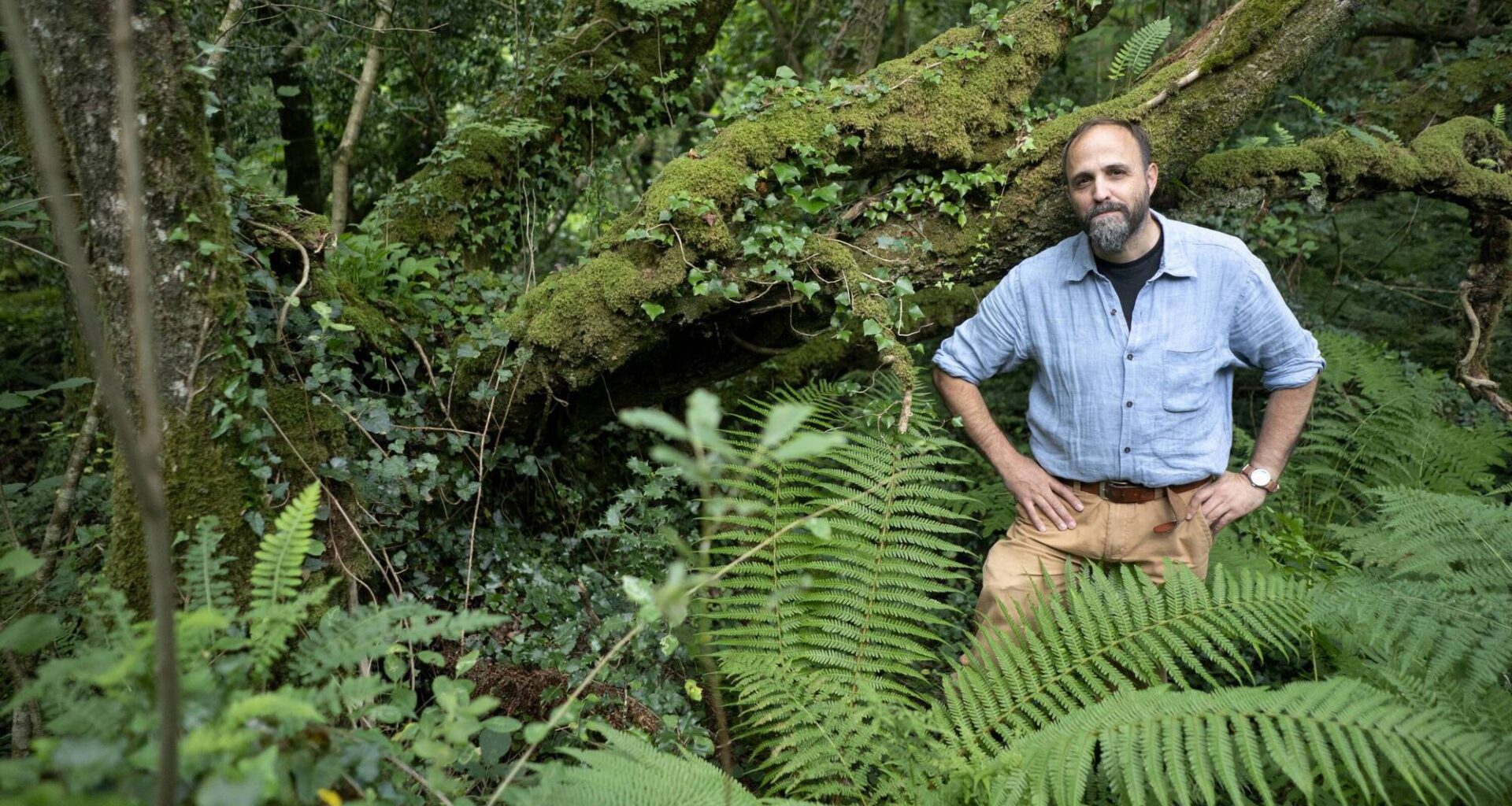 New film takes a walk on the wild side in West Cork