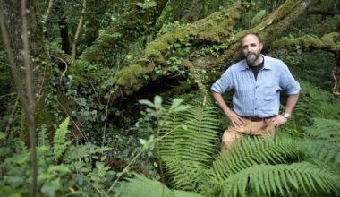 New film takes a walk on the wild side in West Cork