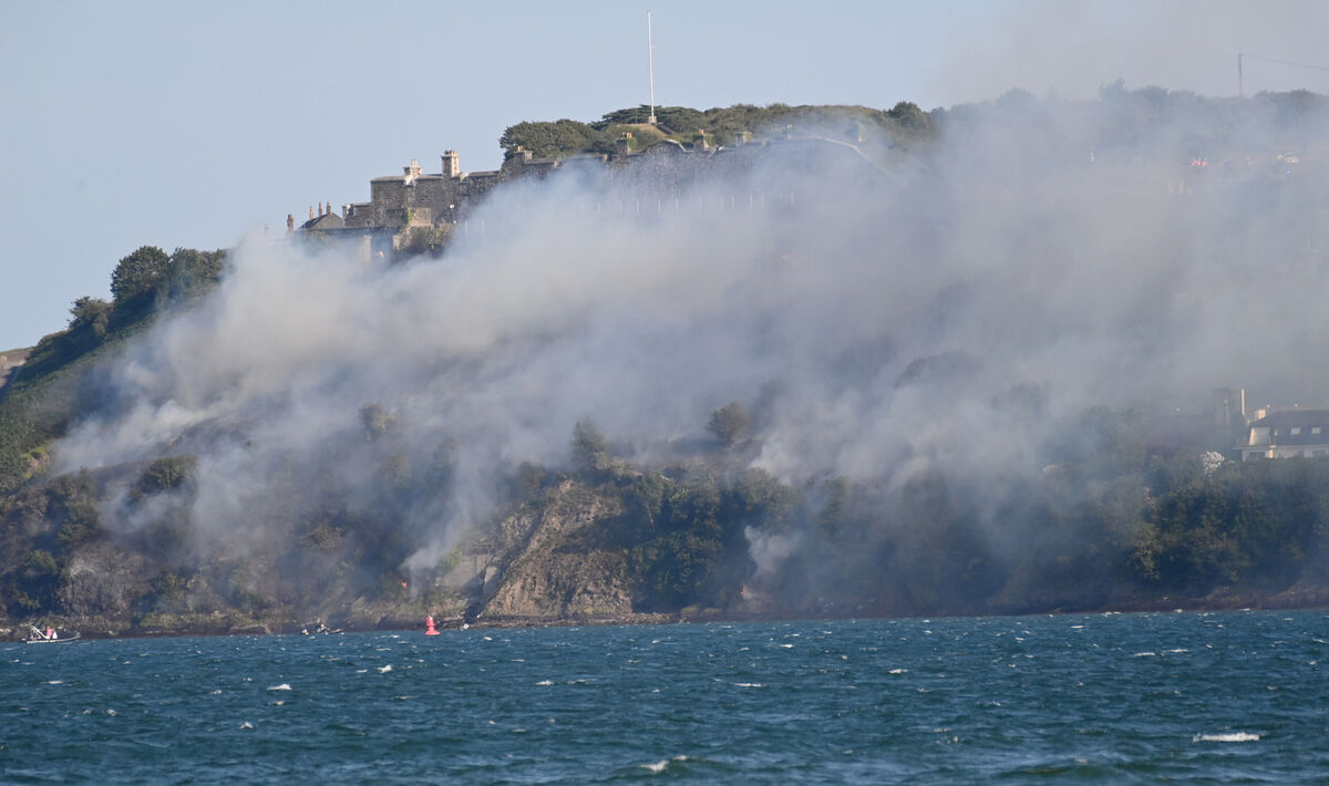  The gorse fire near Camden Fort Meagher, Crosshaven, Co Cork, on July 13 which threatened houses nearby. Picture: Eddie O'Hare