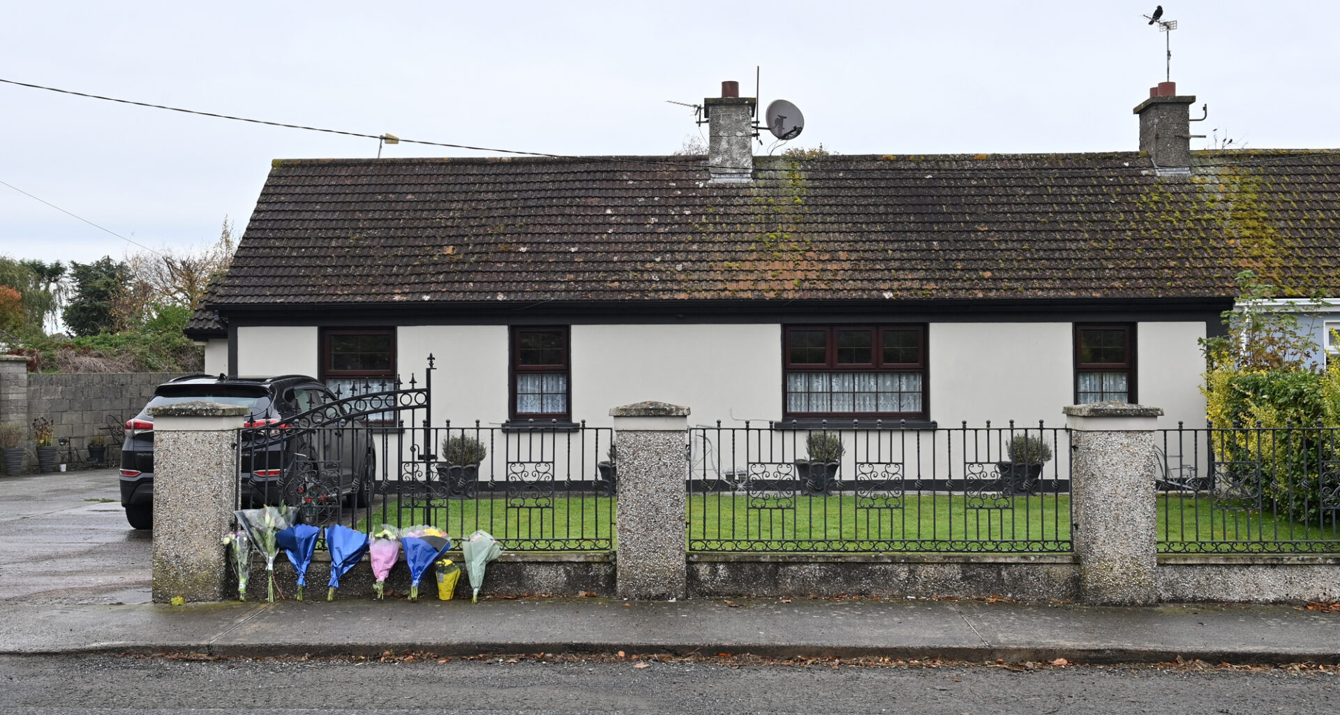 Cocaine and alcohol would have accelerated death, pathologist tells Doneraile murder trial