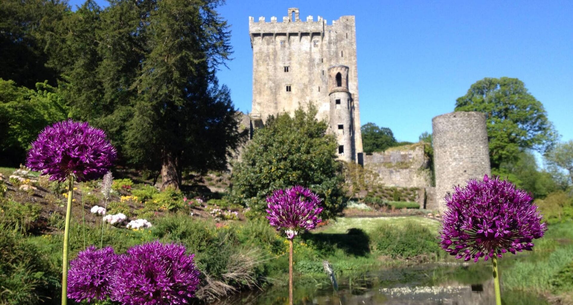 Blarney Castle owner loses trade mark case