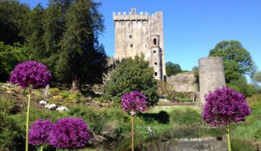 Blarney Castle owner loses trade mark case