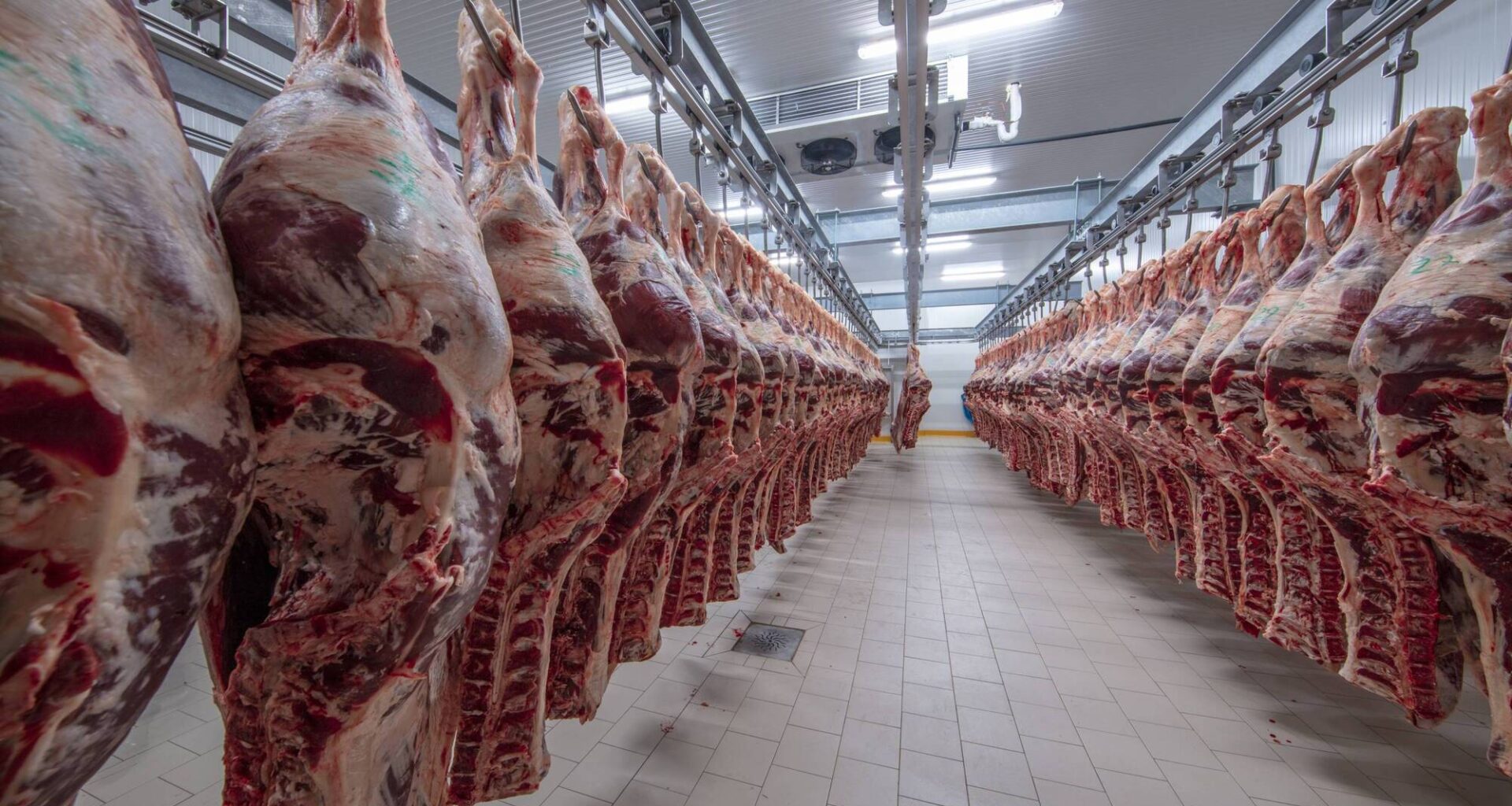 If more Brazilian beef lands in the UK, the big loser will be Ireland, which depends on the UK to take nearly half of its beef production.