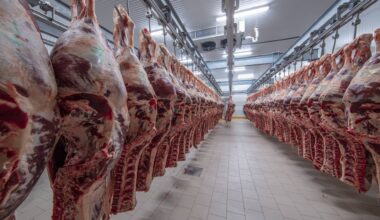 If more Brazilian beef lands in the UK, the big loser will be Ireland, which depends on the UK to take nearly half of its beef production.