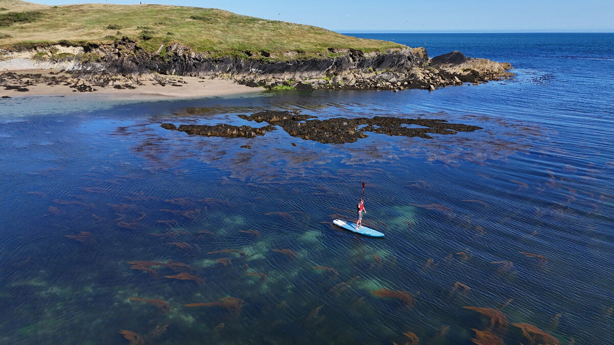  A paddle boarder on the water at Sandycove, Kinsale, Co Cork in July. Picture: Larry Cummins