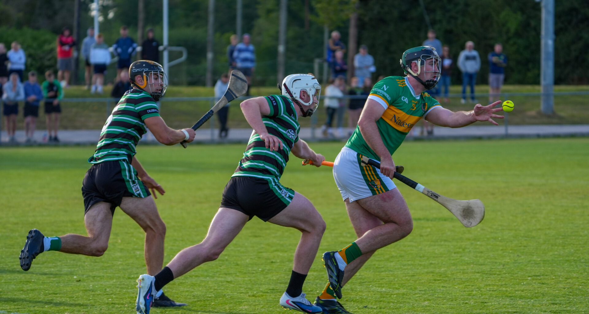 Premier SHC: Newtownshandrum dig deep to snatch draw against Douglas