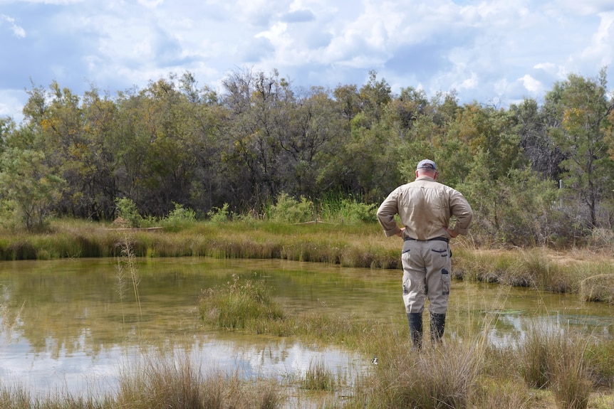 A man with hands on hips stands looking at pool of water full of algae.