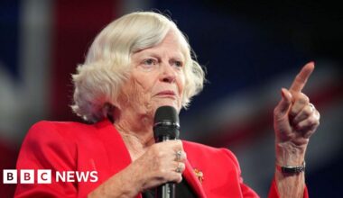 Police continue to question suspect over Ann Widdecombe murder - BBC