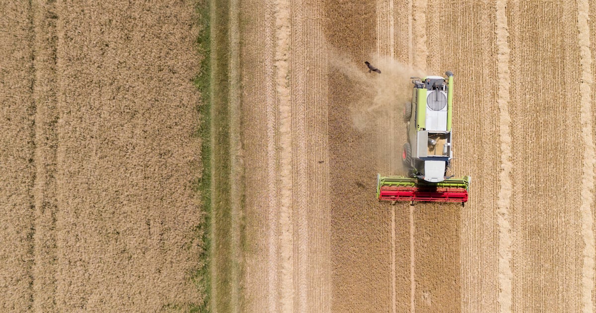 Ireland’s land use fails to safeguard water or support climate action, report finds – The Irish Times