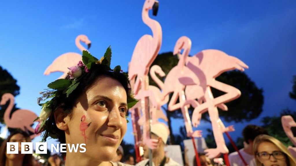 'Flamingo Revolution' takes off as thousands demand Albanian PM's resignation - BBC