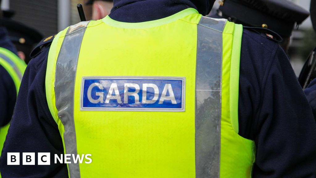 Dublin: Investigation after man's body found in recycling centre - BBC