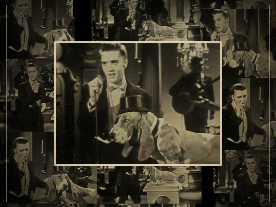 70 years ago, Elvis Presley serenaded a dog on live TV