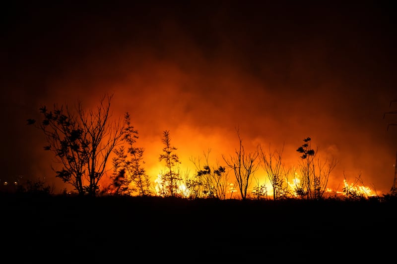 Trees and vegetation burns during a wildfire near Oraiokastro, a suburb of Thessaloniki, Greece, on Saturday. Photograph: Konstantinos Tsakalidis/Bloomberg