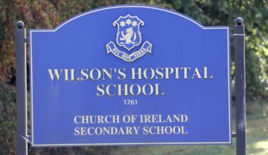 Former employee at Wilson’s Hospital School awarded €7,500 for unfair dismissal – The Irish Times