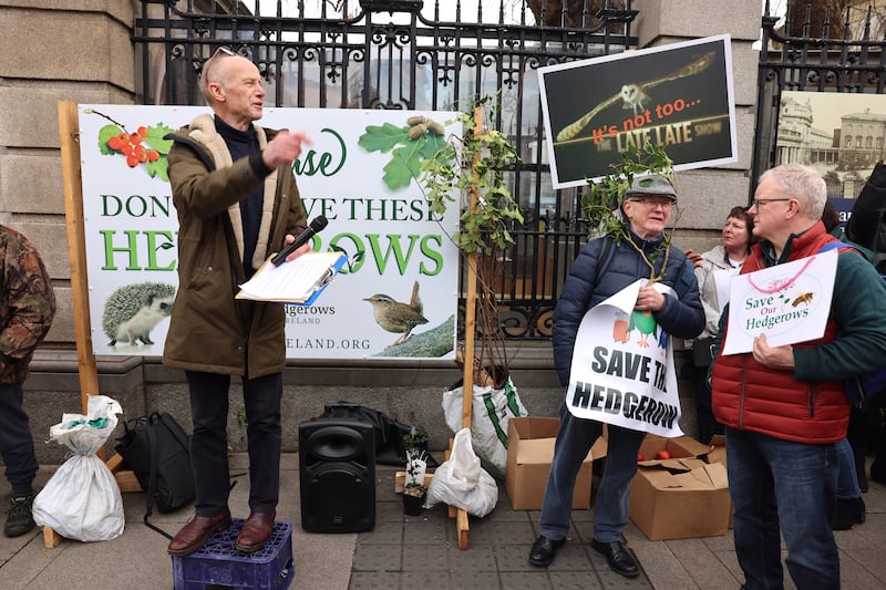 Alan Moore, secretary of Hedgerows Ireland, speaks during a protest outside Leinster House against the destruction of hedgerows in Ireland. Photograph: Dara Mac Dónaill/The Irish Times








