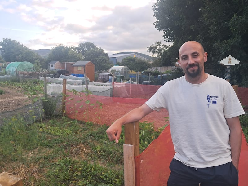 Stefan Brindusoiu is looking after strawberries, potatoes and tomatoes. A newcomer to the world of allotments, he started growing here five months ago. Photograph: Paul Colgan