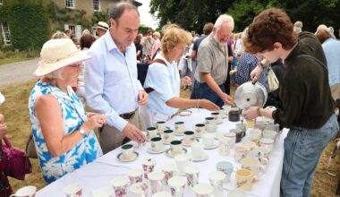‘This year, everyone is talking about what plants are surviving the drought and which aren’t’ – The Irish Times
