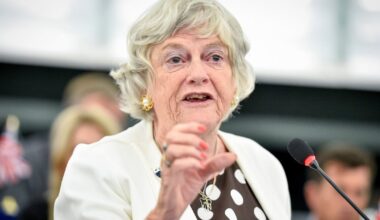 Ann Widdecombe murder: Man (28) arrested over former Tory minister’s death – The Irish Times