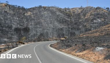 Badly burned British couple rescued from ravine during Spain wildfires - BBC