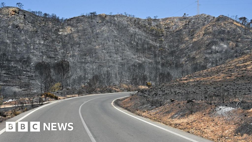 Badly burned British couple rescued from ravine during Spain wildfires - BBC