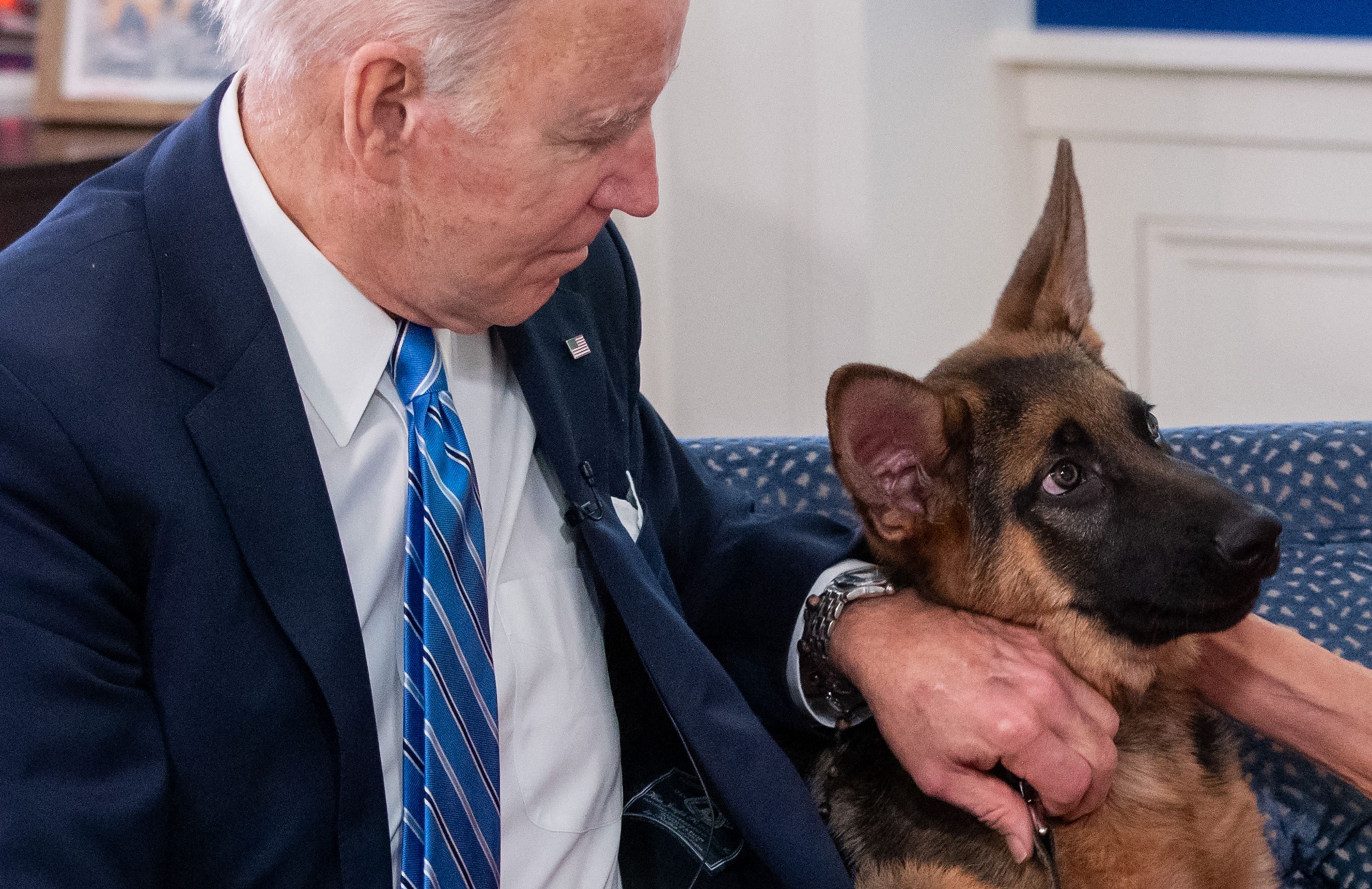 Joe Biden pets his dog Commander