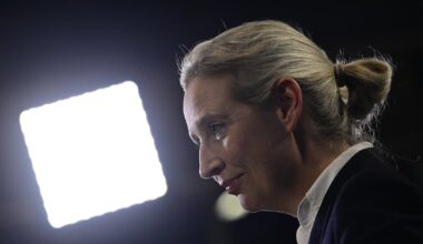 AI software that generates ‘rage bait’ developed by Germany’s far-right AfD – The Irish Times
