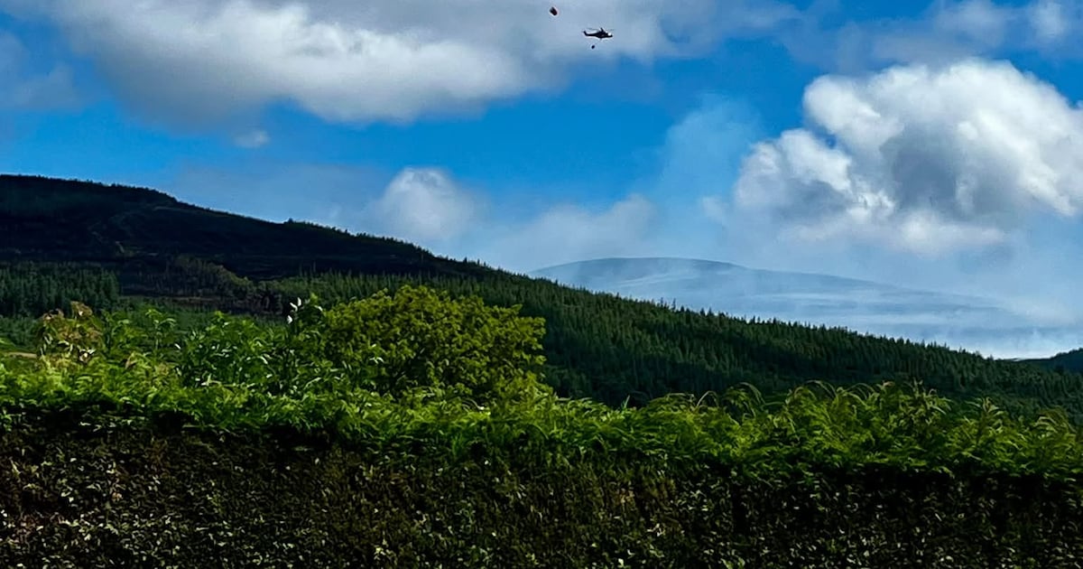 Firefighters in Tipperary and Wicklow stand guard against repeat mountain flare-ups – The Irish Times