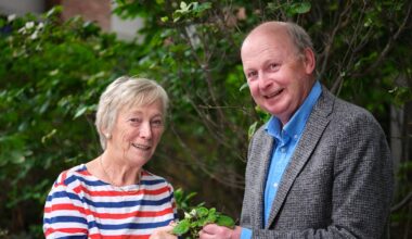 Ireland’s Greenest Places: Why we want to salute Net Zero Heroes – The Irish Times