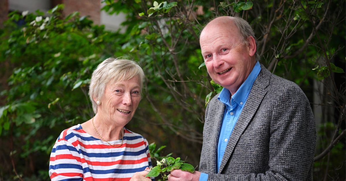 Ireland’s Greenest Places: Why we want to salute Net Zero Heroes – The Irish Times