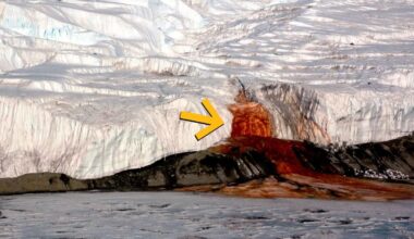 Antarctica's Blood Falls Hides a Hidden World That's Never Seen The Sun : ScienceAlert