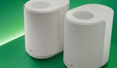 Bose Lifestyle Ultra Wireless Speaker: How To Buy Online, Pricing