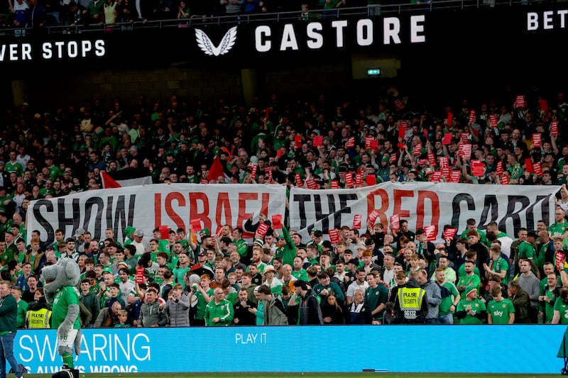 Irish fans make a point during last year's Ireland-Hungary match. Photograph: Ryan Byrne/Inpho