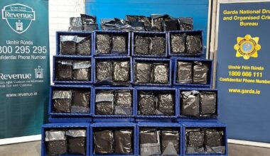 Almost 400kg of cannabis seized at Dublin Port – The Irish Times