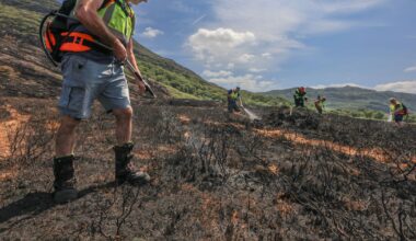 Key Killarney National Park tourist route shut amid fight to contain wildfires – The Irish Times