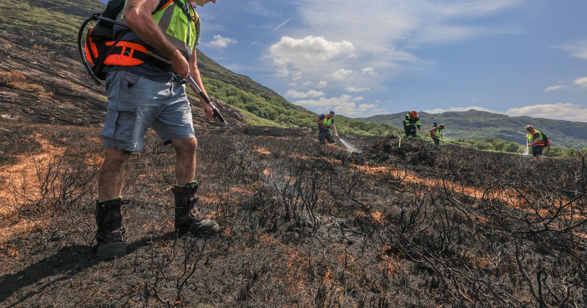 Key Killarney National Park tourist route shut amid fight to contain wildfires – The Irish Times