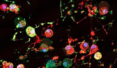 Newly Discovered 'Footprint of Death' May Help Viruses Spread : ScienceAlert