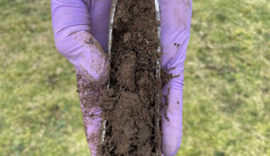 PFAS levels in shallow soils