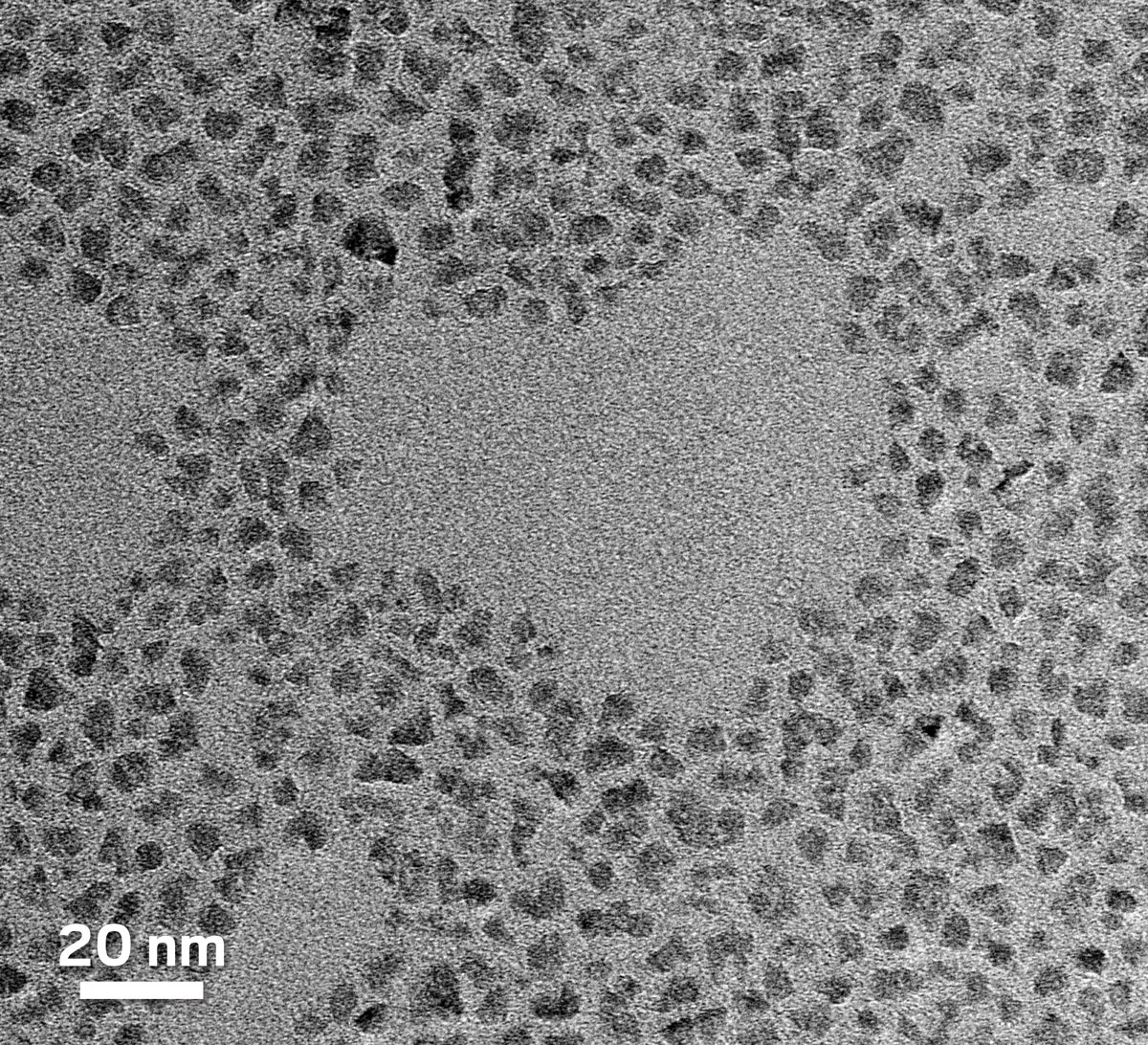 Black-and-white micrograph showing a cluster of tiny crystals.