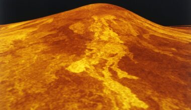 Stargazing in July: The Queen of the Night
