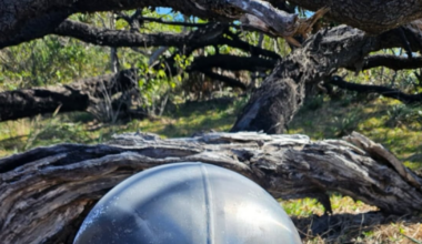 ‘Space balls’: Mysterious debris found on Australian beaches could contain toxic rocket fuel – The Irish Times