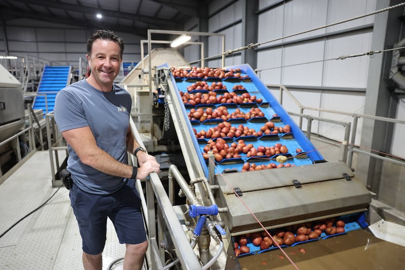 Keogh's factory processes potatoes grown on its own 40 acres of land and sorts products for close to 50 other growers. Photograph: Dara Mac Dónaill/The Irish Times








