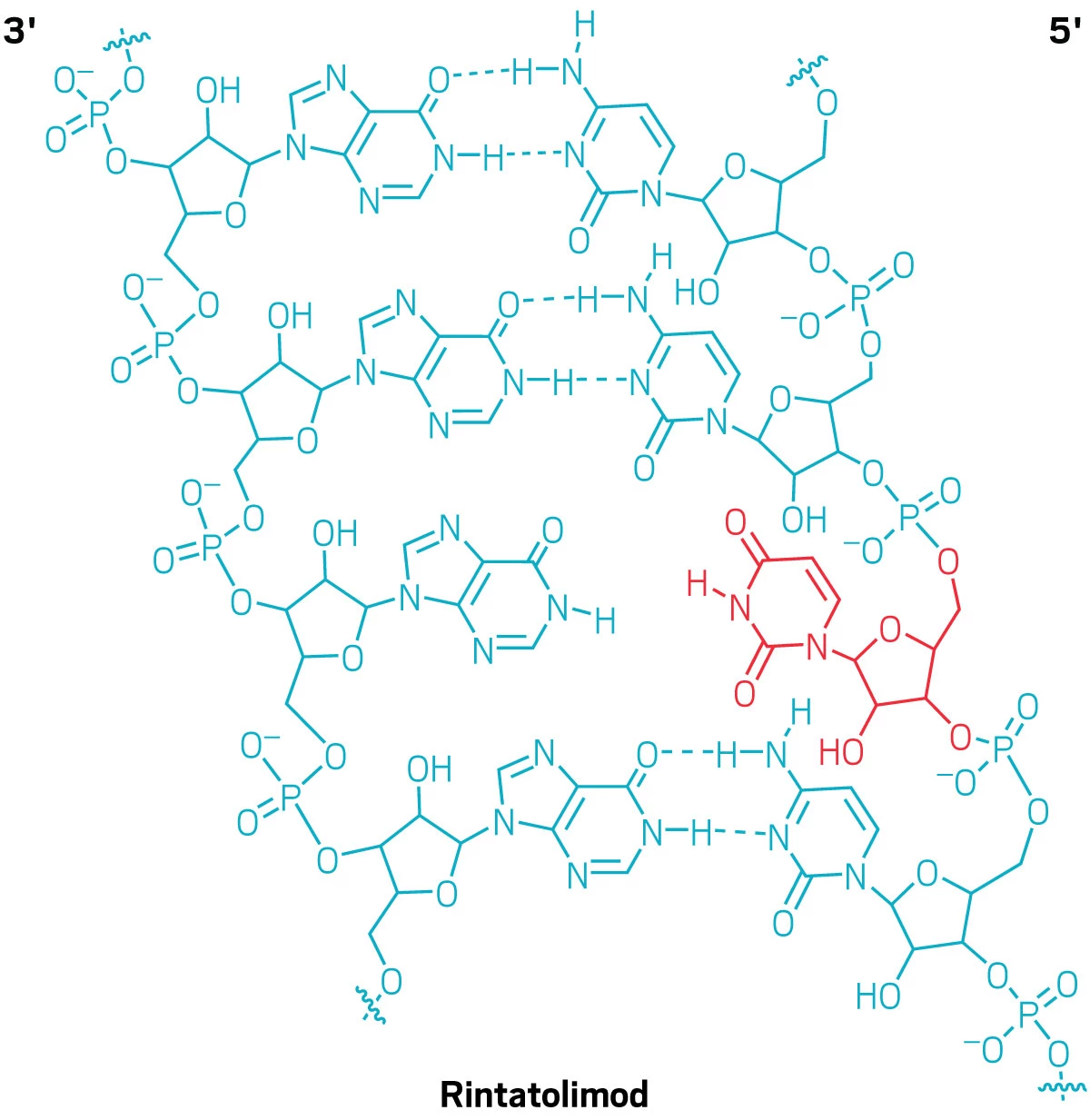 Chemical structure of rintatolimod.