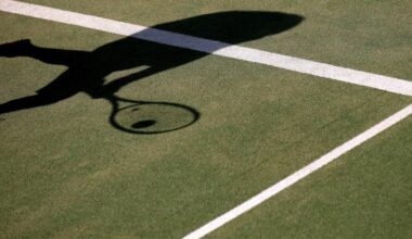 Fitzwilliam Tennis Club plans for dome over court stalled – The Irish Times