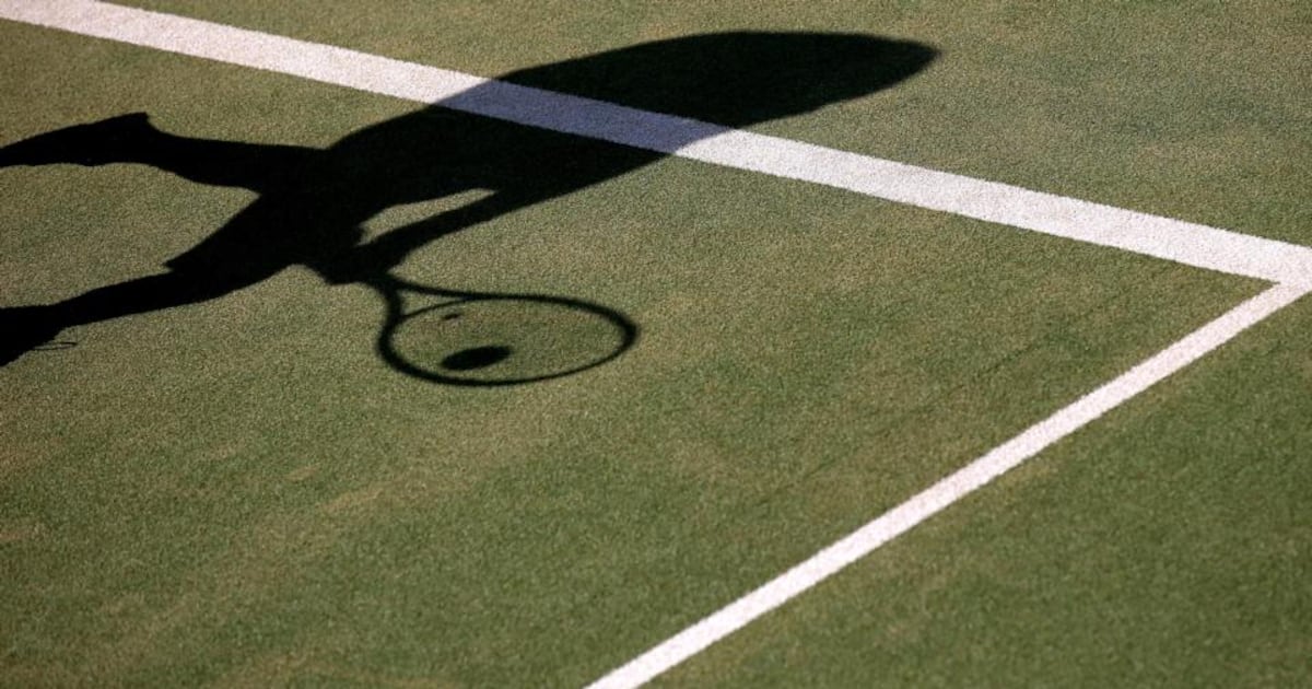 Fitzwilliam Tennis Club plans for dome over court stalled – The Irish Times