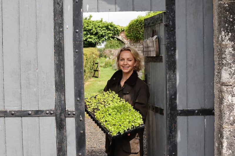 Author Ally Bunbury at Lisnavagh House Farm Shop in Carlow. Photograph: Alan Betson/The Irish Times