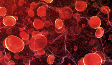 Avatrombopag achieves 70% success rate in treating chemotherapy-induced thrombocytopenia