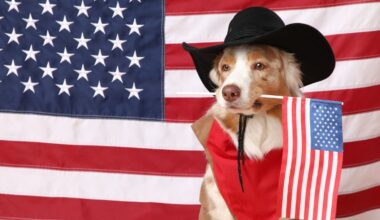 10 US companies actively recruiting in Ireland this 4th of July