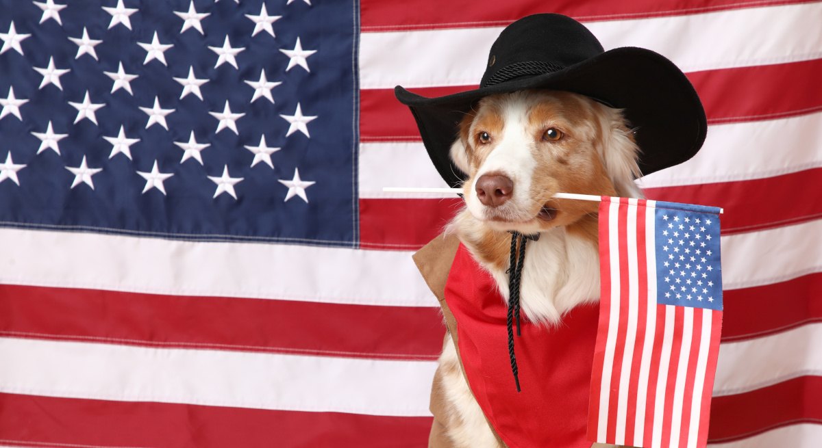 10 US companies actively recruiting in Ireland this 4th of July