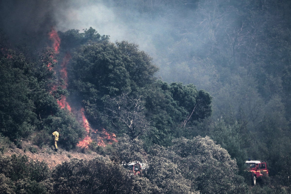Parts of France’s Mediterranean coast evacuated as wildfires spread