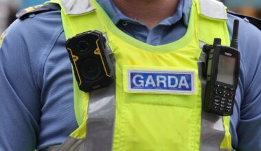 Gardaí believe pensioner missing from his Dublin home was murdered and body disposed of – The Irish Times